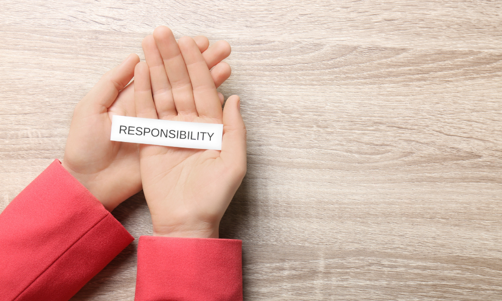 Individual Producer Responsibility